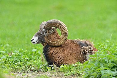 《不朽者传奇》开发商：大裁员主因是销量太差 竞争激烈