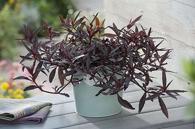 《GTA6》新截图疑似泄露 展示了游戏的技术状态