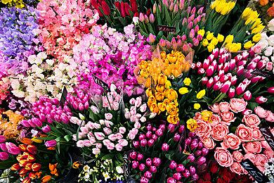 《碧海黑帆》重新公布后 海外网友的反应似乎非常冷淡